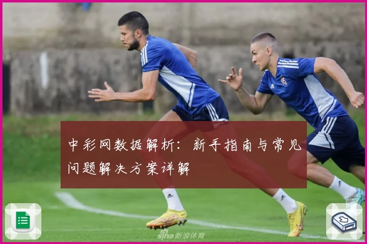 中彩网数据解析：新手指南与常见问题解决方案详解
