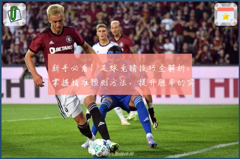 新手必看！足球竞猜技巧全解析，掌握精准预测方法，提升胜率的实用指南