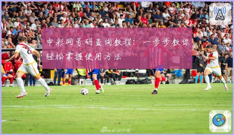 中彩网号码查询教程：一步步教你轻松掌握使用方法