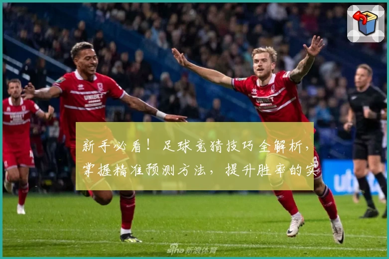 新手必看！足球竞猜技巧全解析，掌握精准预测方法，提升胜率的实用指南
