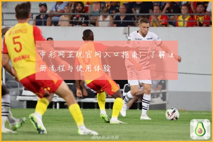 中彩网正规官网入口指南：了解注册流程与使用体验