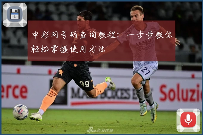 中彩网号码查询教程：一步步教你轻松掌握使用方法