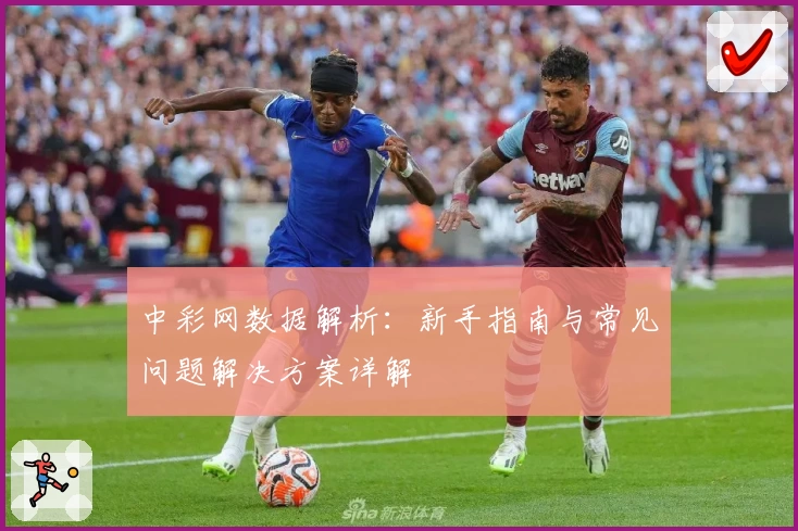 中彩网数据解析：新手指南与常见问题解决方案详解