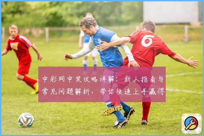 中彩网中奖攻略详解：新人指南与常见问题解析，带你快速上手赢得惊喜